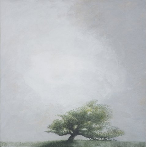 peinture Le chêne de Martine